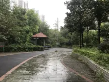 朝部队视野采光好还远看江 三阳台明厨明卫