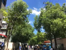 南北二房,中间楼层,视野宽阔,采光充足。交通便利