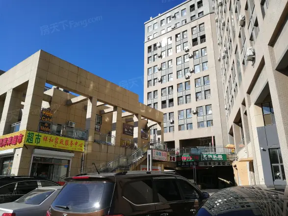 复地大都汇实景图