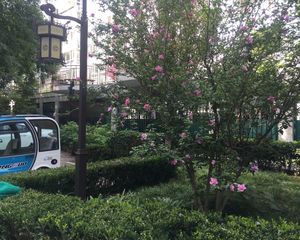 安德馨居2室1厅南北