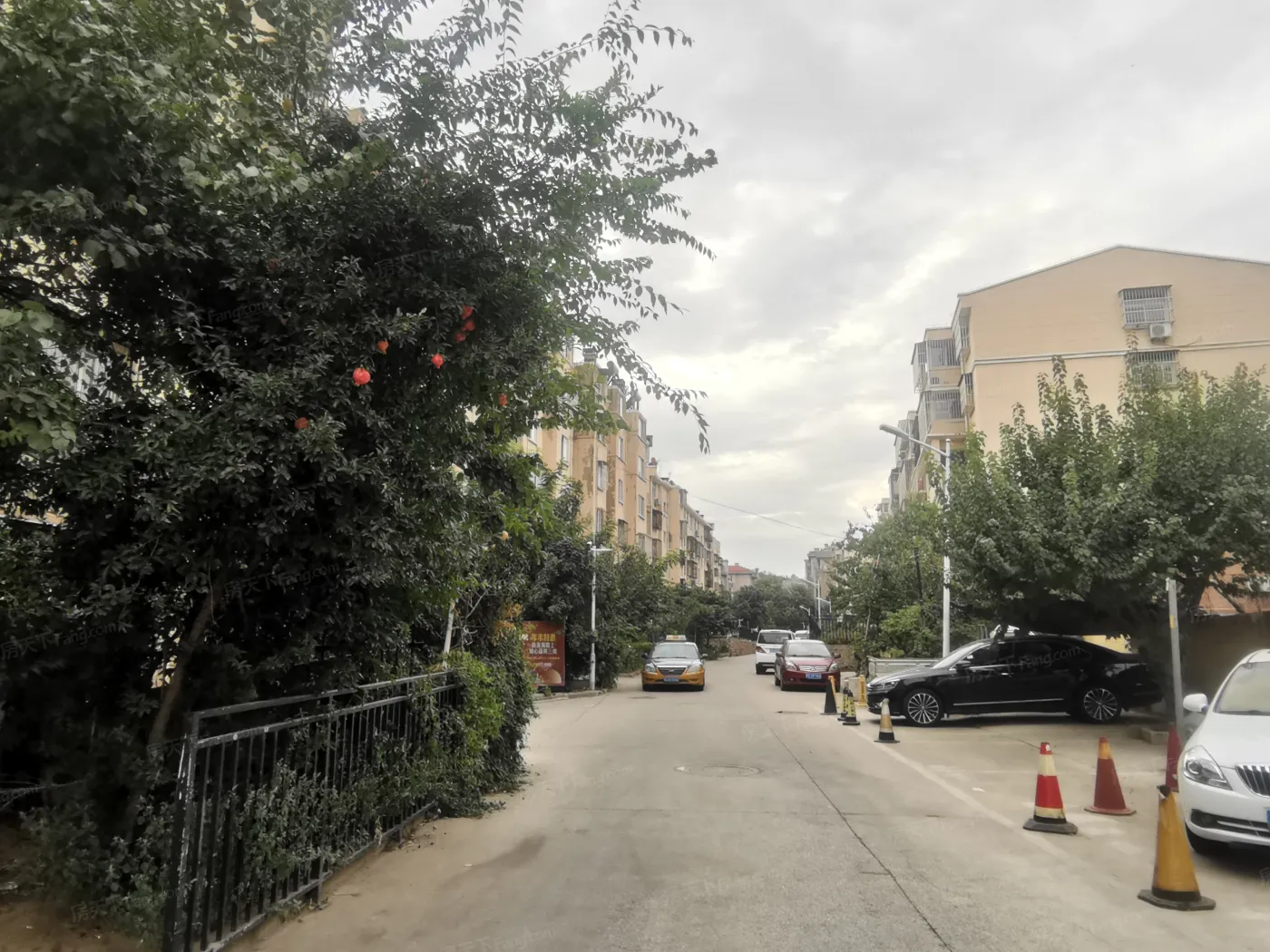 杏山花园图片相册,户型图,样板间图,装修效果图,实景图-徐州房天下