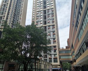 万科金色海蓉二期 3室1厅 东南