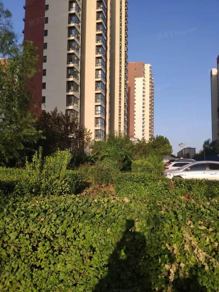 【石家庄锦城小区,二手房,租房】- 石家庄房天下