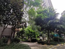 双发金英汇1室1厅北