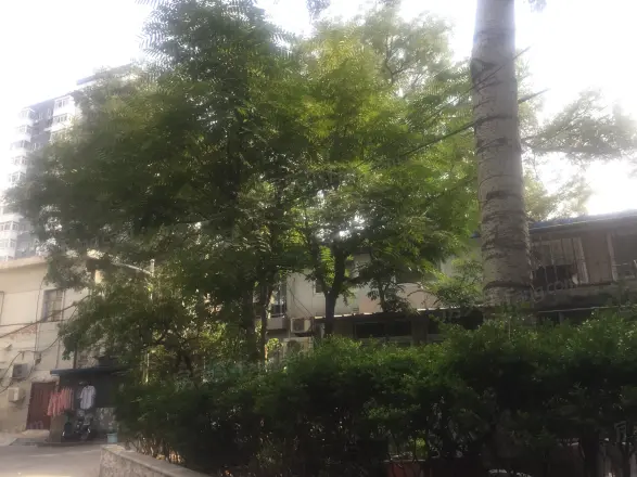 六铺炕三区实景图
