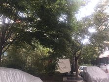 六铺炕三区业主诚意出售户型方正随时签约满五唯一