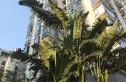 华府馨居实景图