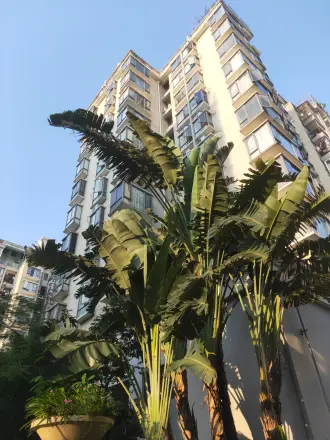 华府馨居实景图