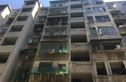 弼塘小区实景图