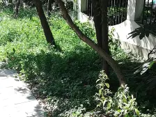 近地铁 中环内 低总价低单价 精装修 业主诚意出售