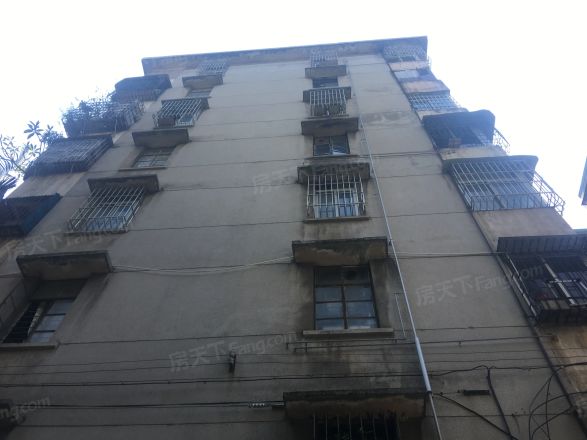 弼塘小区实景图
