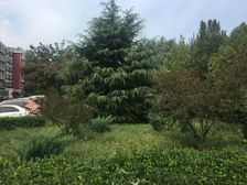 山水汇豪苑C区1室1厅东