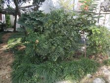 平江路,东园,私房,独门独户。