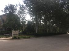 提香草堂4室2厅南北