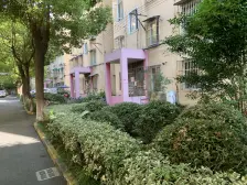 复星花园(行知路569弄) 3室2厅 南 北