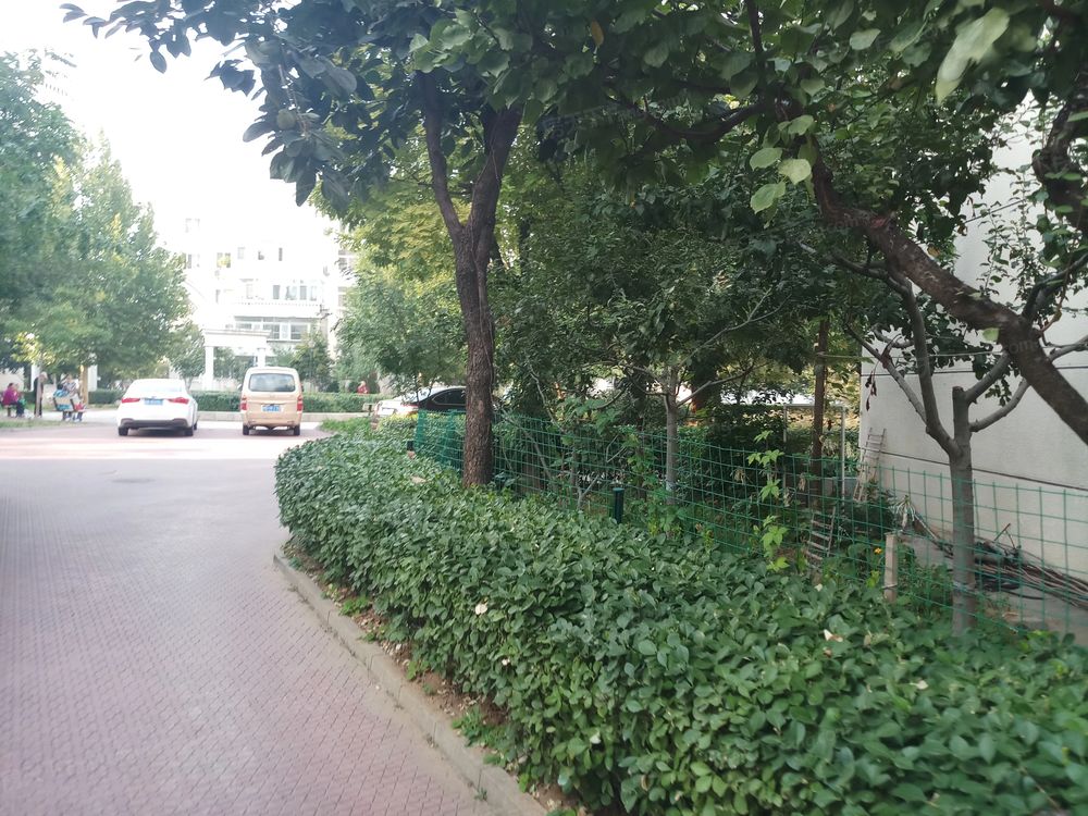 小区相关图