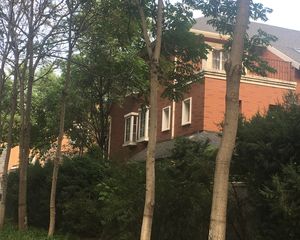 窦店·提香草堂·4室·3厅联排精装修