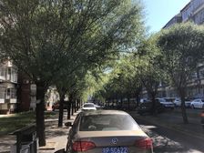 石园北区中间楼层南北通透两居室只有契税