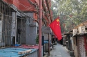 苗圃西里实景图