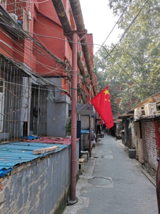 苗圃西里实景图
