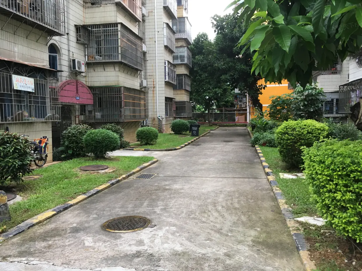 金枫花园