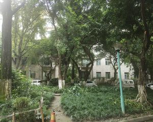 怡丰花园3室2厅南