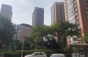 银都花园实景图
