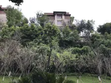 蔡家 首钢美利花都一房35万