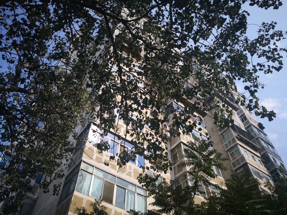 小区相关图