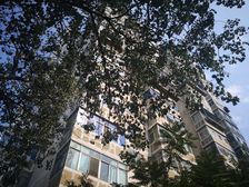 苹果园小区二区2室1厅东南