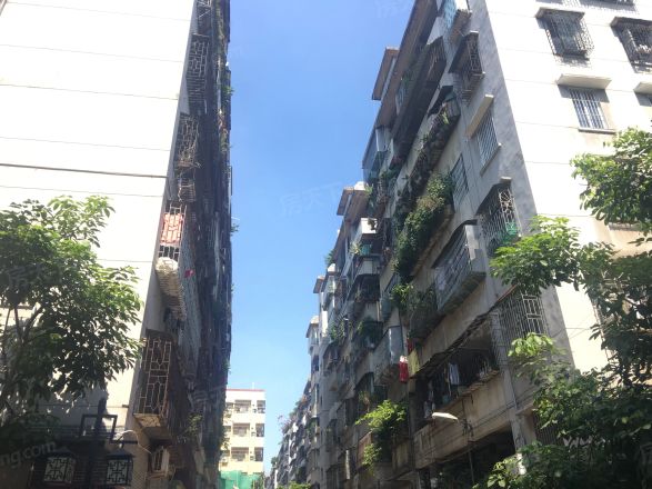 弼塘小区实景图