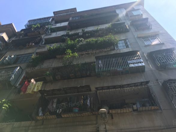 弼塘小区实景图