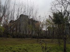 金山郡 2室1厅 东