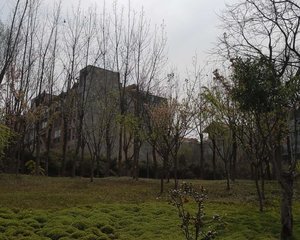 金山郡 3室2厅 西南