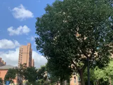 人车分流,电梯房,刚需上车,现场实勘,业主诚意