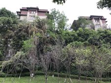首钢美利山公园城市 楼层好 满二 刚需小三居 近地铁