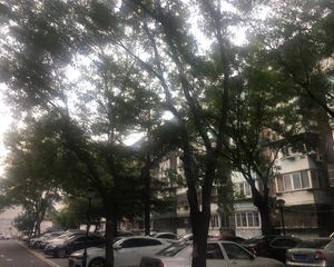 义和庄 · 车站南里 · 2室 · 1厅