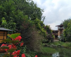 棠湖泊林城2室2厅东