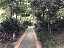 金地天府城公寓2室1厅东