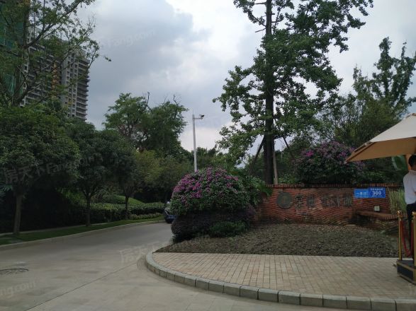 棠湖泊林城实景图