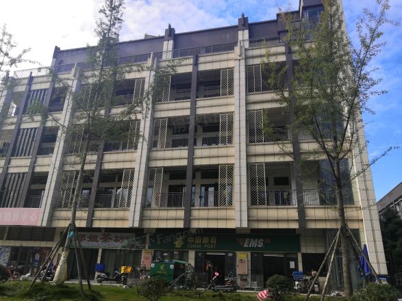 中成主角实景图