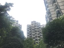 清水河畔2室1厅东北