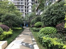 金地天府城公寓1室1厅南