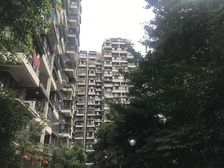 清水河畔1室1厅西南