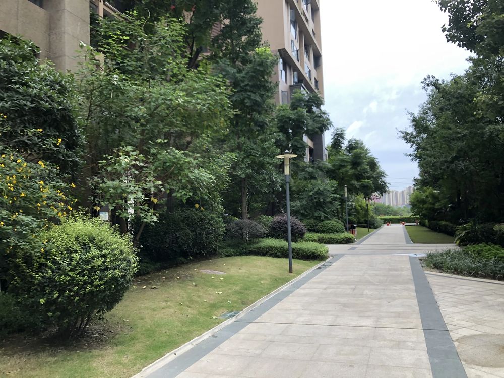 小区相关图