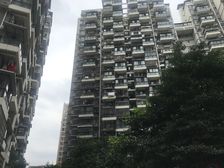 清水河畔3室1厅东北