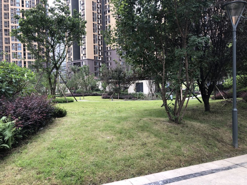 小区相关图