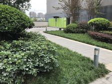 金地天府城公寓2室1厅东