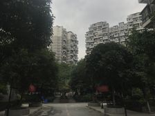 清水河畔3室1厅南