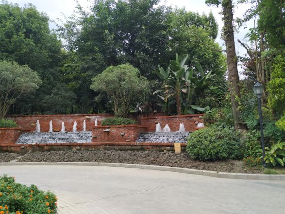 棠湖泊林城实景图
